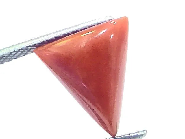 4.94 Ct Natural Italian Triangle Red Coral Trikon Moonga Gemstone - Venus Gems