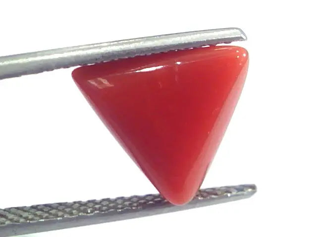4.93 Ct 8.1 Ratti Natural Italian Triangle Red Coral Moonga Gems