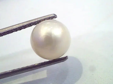 5.00 Carat Natural Certified Real South Sea Pearl,Certified Moti