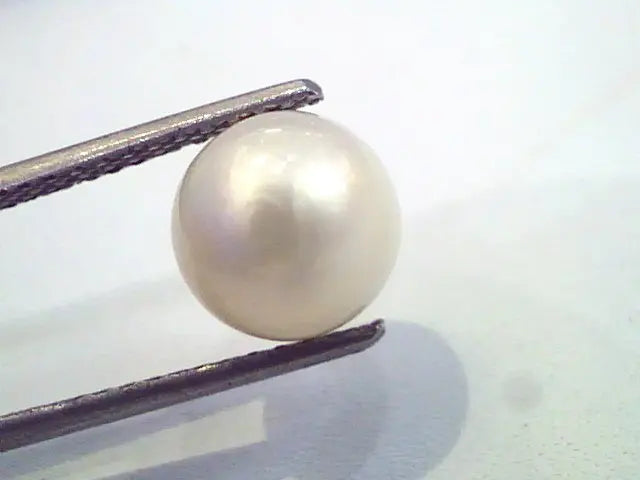 5.00 Carat Natural Certified Real South Sea Pearl,Certified Moti