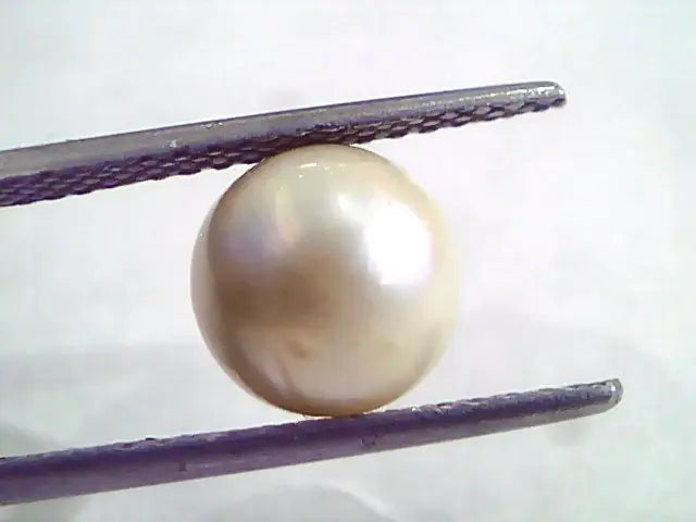 4.95 Ct Natural Certified Real South Sea Pearl,Certified Moti