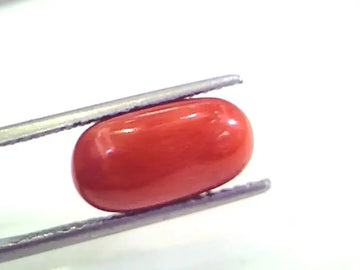 4.97 Ct Untreated Natural Premium Italian Red Coral AAAAA