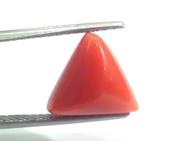 4.97 Ct 5.52 Ratti Natural Italian Triangle Red Coral Moonga Gems - Venus Gems