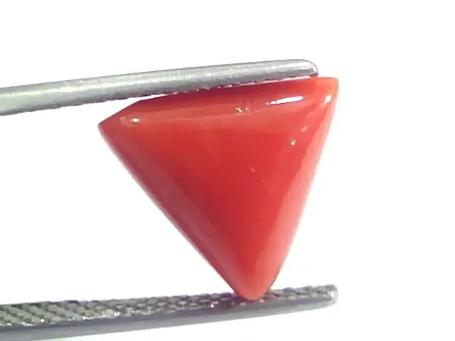 4.97 Ct 5.52 Ratti Natural Italian Triangle Red Coral Moonga Gems - Venus Gems