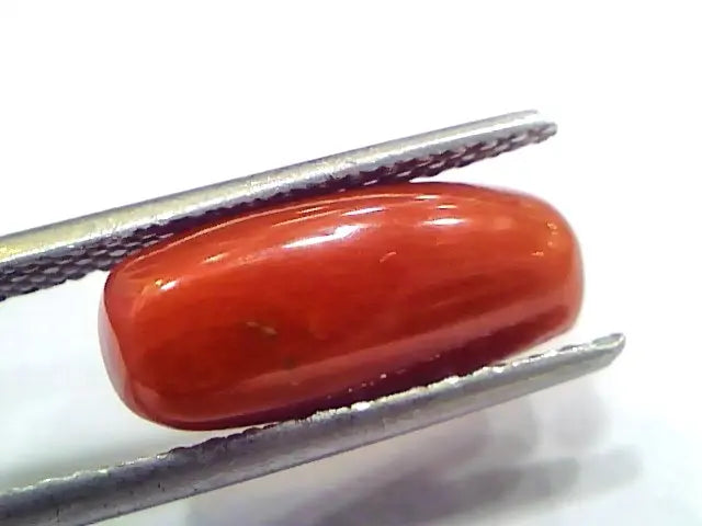 5.02 Ct 8.3 Ratti Natural Untreated Italian Red Coral Moonga Gems