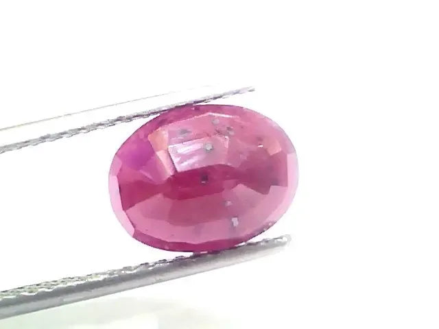 4.99 Ct Certified Unheated Untreated Natural New Burma Ruby - Venus Gems