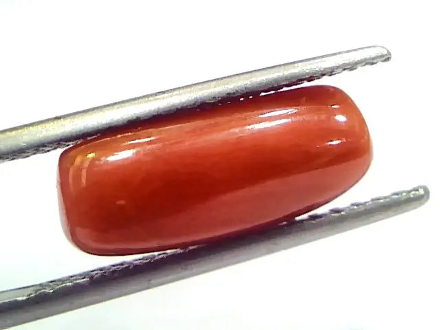 5.04 Ct 8.3 Ratti Natural Untreated Italian Red Coral Moonga Gems