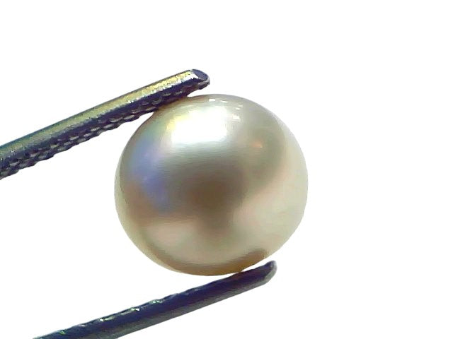 5.00 Ct Natural Certified Real South Sea Pearl Certified Moti