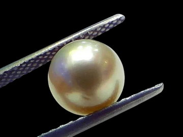 4.80 Ct Natural Certified Real South Sea Pearl Certified Moti - Venus Gems