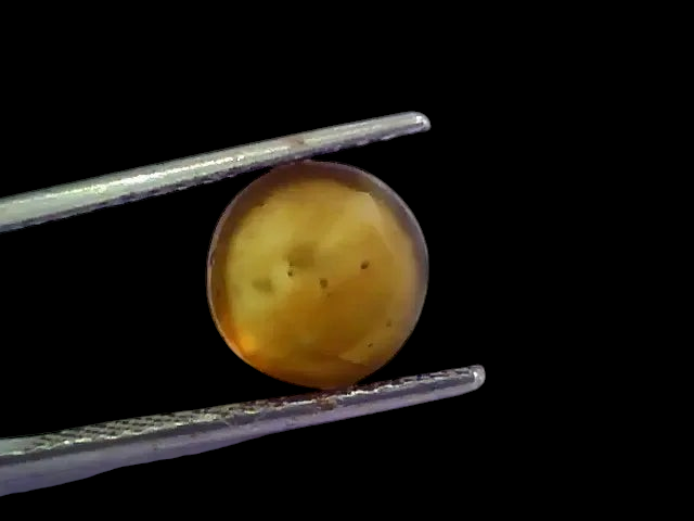 4.64 Ct IGI Certified Untreated Natural Ceylon Cats Eye Apatite - Venus Gems