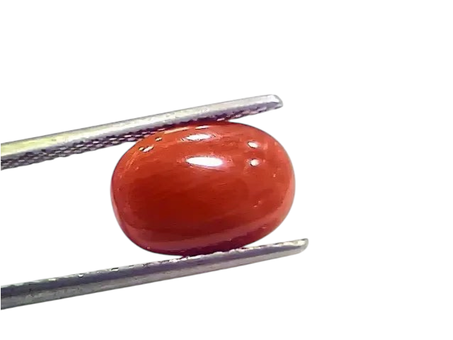 4.00 Ct 4.44 Ratti Natural Italian Red Coral Moonga Gemstone - Venus Gems