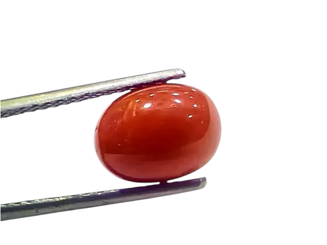 4.42 Ct 4.91 Ratti Natural Italian Red Coral Moonga Gemstone - Venus Gems