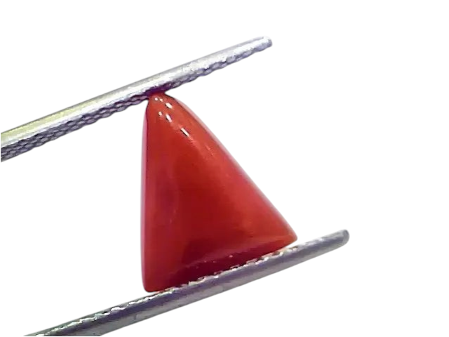3.96 Ct 4.35 Ratti Natural Italian Triangle Red Coral Moonga Gemstone - Venus Gems