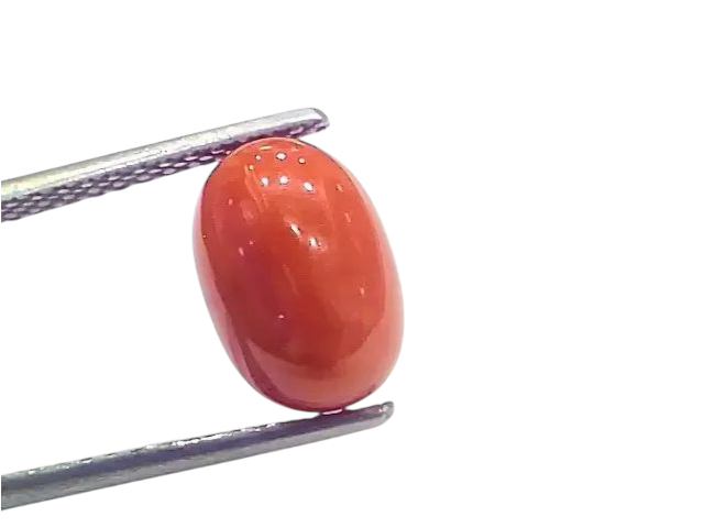 4.33 Ct 4.81 Ratti Natural Italian Red Coral Moonga Gemstone - Venus Gems
