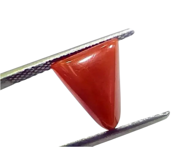 3.96 Ct 4.35 Ratti Natural Italian Triangle Red Coral Moonga Gemstone - Venus Gems