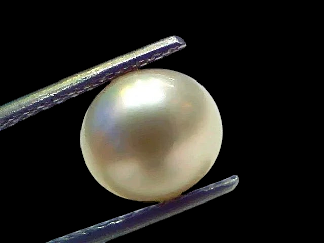 4.86 Ct Natural Certified Real South Sea Pearl Certified Moti - Venus Gems