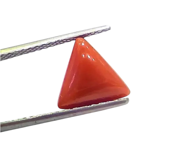 4.10 Ct 4.55 Ratti Natural Italian Triangle Red Coral Moonga Gemstone - Venus Gems