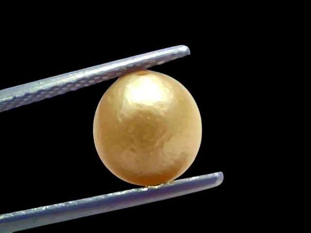 Venus Gems 4.51 carat natural round South Sea pearl with yellowish-white color and excellent luster held in tweezers