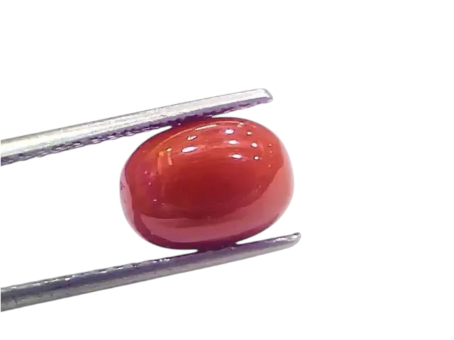 4.26 Ct 4.73 Ratti Natural Italian Red Coral Moonga Gemstone - Venus Gems