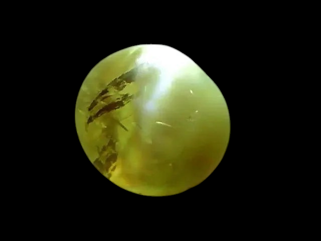 4.03 Ct Untreated Natural Alexandrite Chrysoberyl Cats Eye *RARE* - Venus Gems