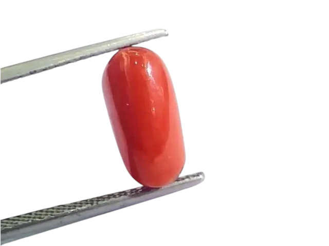 4.27 Ct 4.74 Ratti Untreated Natural Italian Red Coral Moonga Gemstone AA - Venus Gems