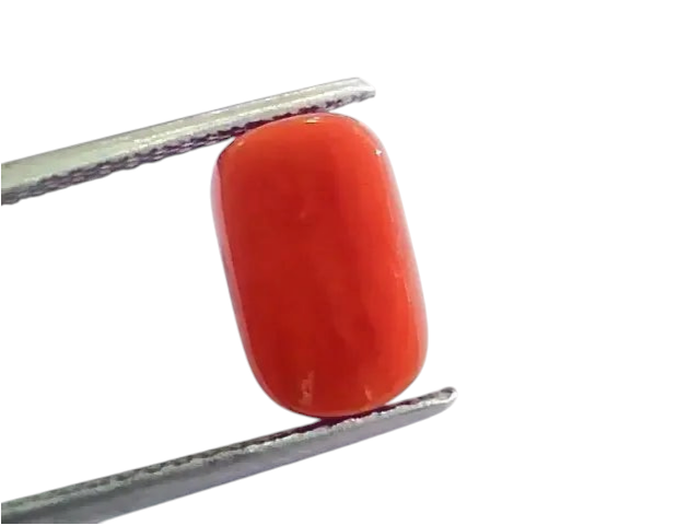 4.58 Ct 5.08 Ratti Untreated Natural Italian Red Coral Moonga Gemstone AA - Venus Gems