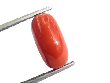 4.83 Ct 5.36 Ratti Untreated Natural Italian Red Coral Moonga Gemstone AA - Venus Gems