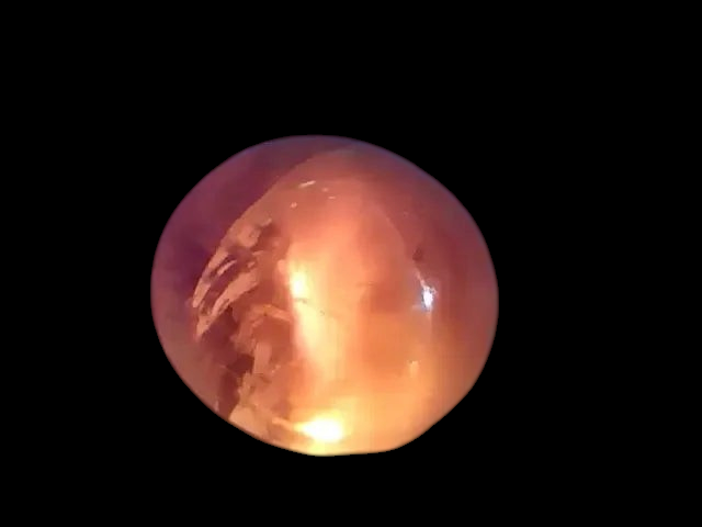 4.03 Ct Untreated Natural Alexandrite Chrysoberyl Cats Eye *RARE* - Venus Gems