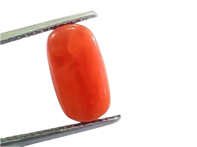 4.83 Ct 5.36 Ratti Untreated Natural Italian Red Coral Moonga Gemstone A+ - Venus Gems