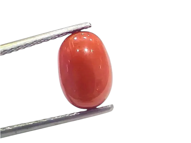 4.33 Ct 4.81 Ratti Natural Italian Red Coral Moonga Gemstone - Venus Gems