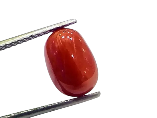 4.87 Ct 5.41 Ratti Natural Italian Red Coral Moonga Gemstone - Venus Gems