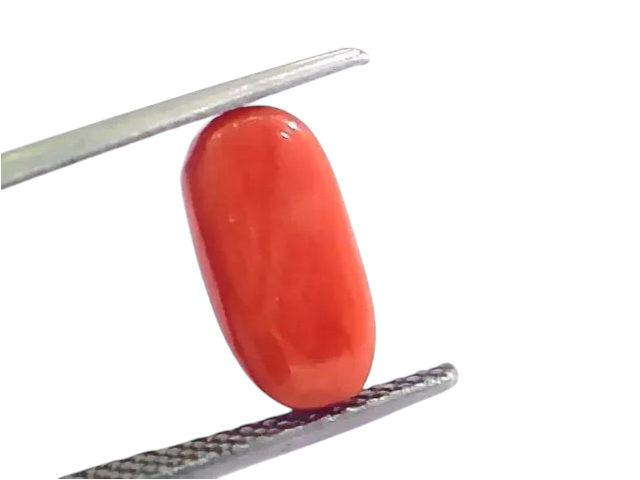 4.43 Ct 4.92 Ratti Untreated Natural Italian Red Coral Moonga Gemstone AA - Venus Gems