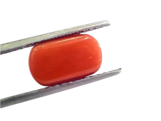 4.60 Ct 5.11 Ratti Untreated Natural Italian Red Coral Moonga Gemstone AA - Venus Gems