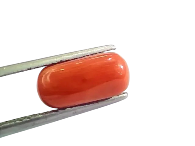 4.60 Ct 5.11 Ratti Untreated Natural Italian Red Coral Moonga Gemstone A+ - Venus Gems