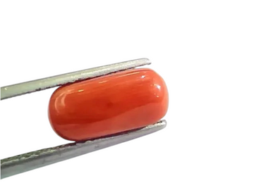 4.60 Ct 5.11 Ratti Untreated Natural Italian Red Coral Moonga Gemstone A+ - Venus Gems