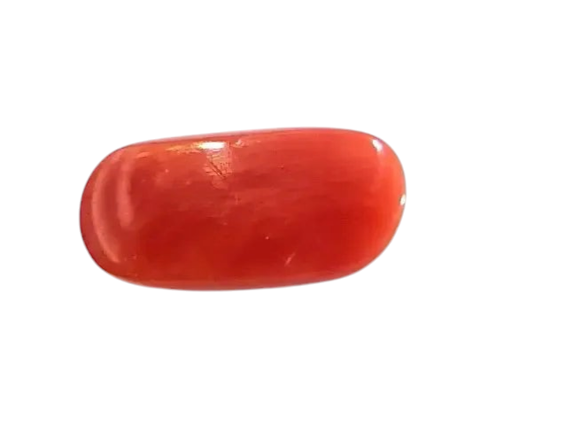 4.49 Ct 4.98 Ratti Untreated Natural Premium Italian Red Coral AAAAA - Venus Gems