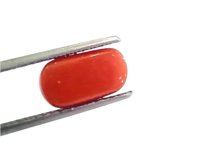 4.22 Ct 4.68 Ratti Untreated Natural Italian Red Coral Moonga Gemstone AA - Venus Gems