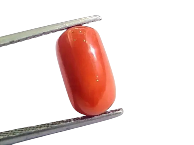 4.83 Ct 5.36 Ratti Untreated Natural Italian Red Coral Moonga Gemstone AAA - Venus Gems