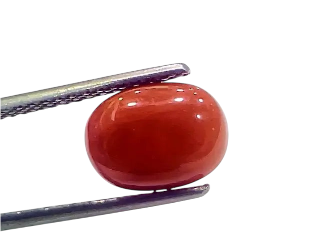 4.42 Ct 4.91 Ratti Natural Italian Red Coral Moonga Gemstone - Venus Gems