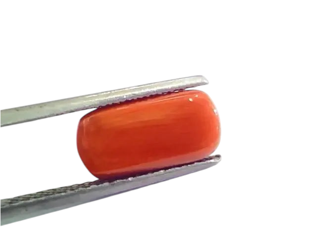 4.60 Ct 5.11 Ratti Untreated Natural Italian Red Coral Moonga Gemstone A+ - Venus Gems