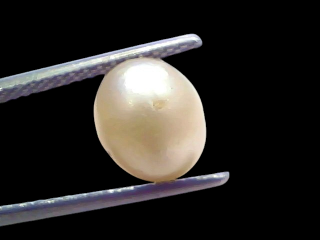 Venus Gems 4.35 carat natural white South Sea pearl gemstone with excellent luster held in tweezers