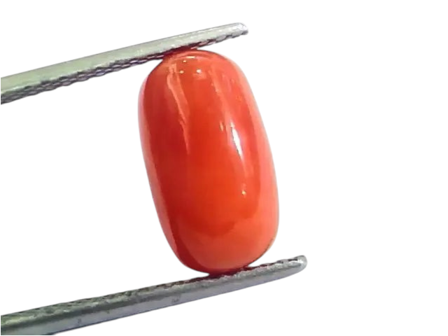 4.83 Ct 5.36 Ratti Untreated Natural Italian Red Coral Moonga Gemstone A+ - Venus Gems