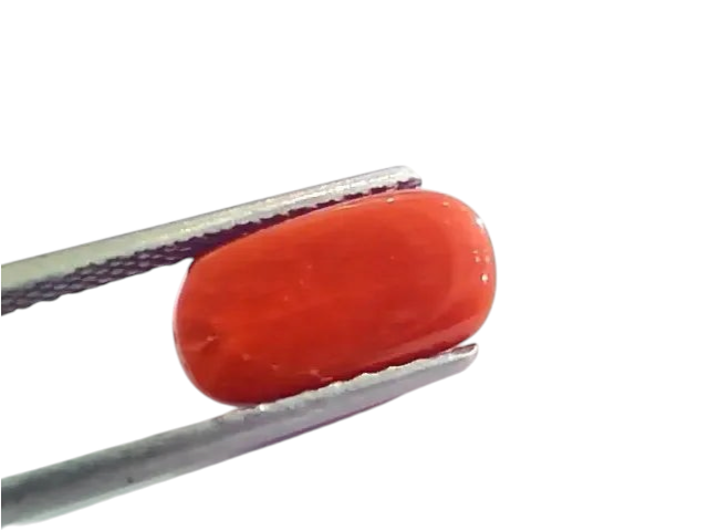 4.63 Ct 5.14 Ratti Untreated Natural Italian Red Coral Moonga Gemstone A+ - Venus Gems
