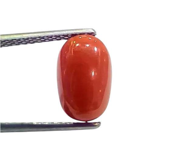 4.20 Ct 4.66 Ratti Natural Italian Red Coral Moonga Gemstone - Venus Gems