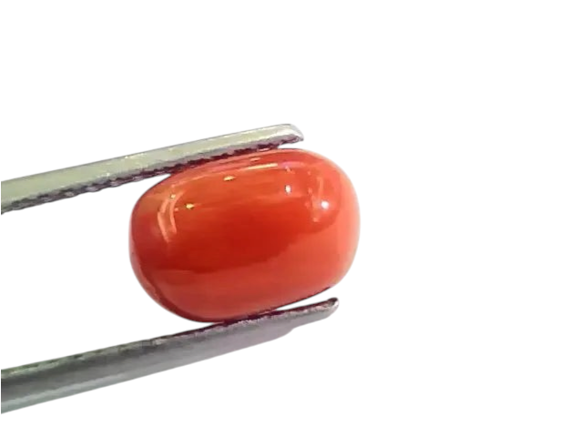 4.55 Ct 5.05 Ratti Untreated Natural Italian Red Coral Moonga Gemstone AA - Venus Gems