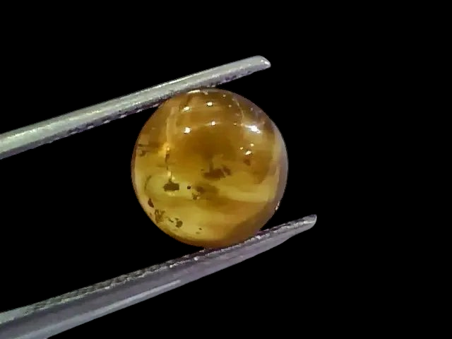4.64 Ct IGI Certified Untreated Natural Ceylon Cats Eye Apatite - Venus Gems