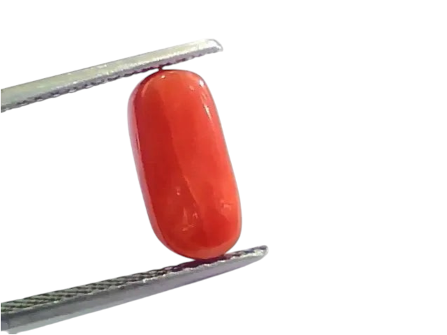 4.27 Ct 4.74 Ratti Untreated Natural Italian Red Coral Moonga Gemstone AA - Venus Gems