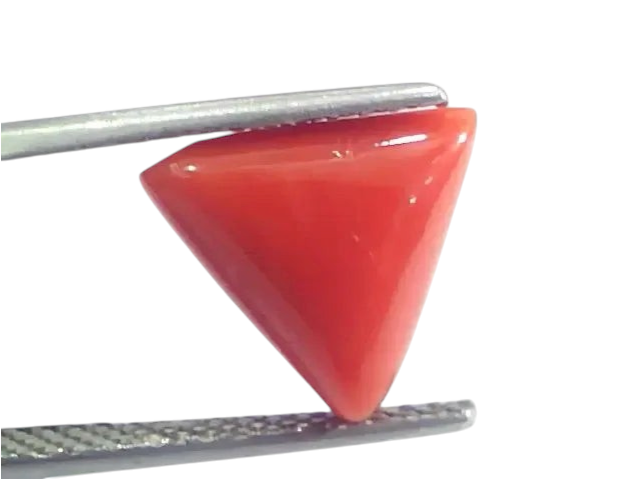 4.97 Ct 5.52 Ratti Natural Italian Triangle Red Coral Moonga Gems - Venus Gems