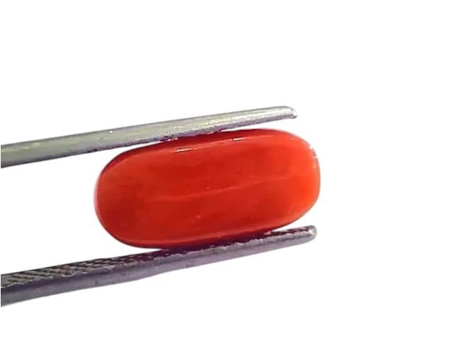 4.78 Ct 5.31 Ratti Natural Italian Red Coral Moonga Gemstone AAAA - Venus Gems