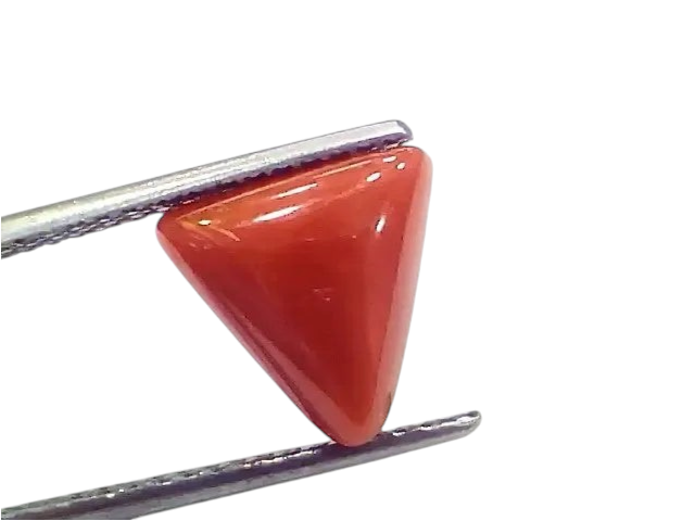 4.10 Ct 4.55 Ratti Natural Italian Triangle Red Coral Moonga Gemstone - Venus Gems
